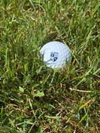 Salve Golf Balls - SALE $5 off applied at Check out