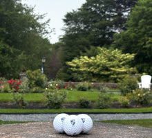 Load image into Gallery viewer, Salve Regina Alumni Golf Balls
