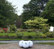Salve Regina Alumni Golf Balls